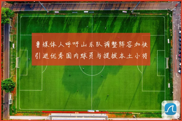 鲁媒体人呼吁山东队调整阵容加快引进优秀国内球员与提拔本土小将