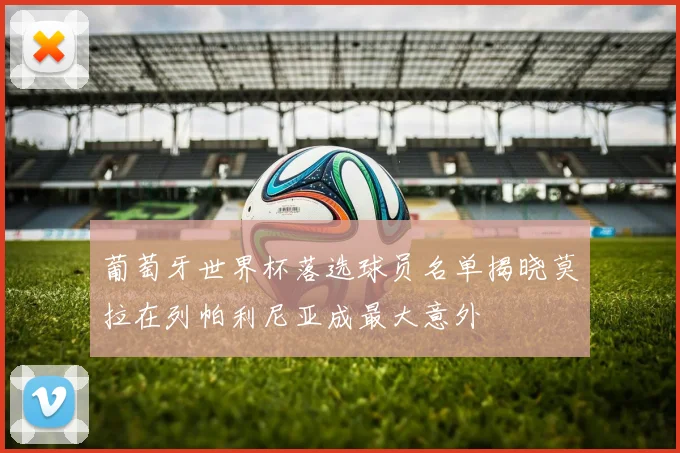 葡萄牙世界杯落选球员名单揭晓莫拉在列帕利尼亚成最大意外