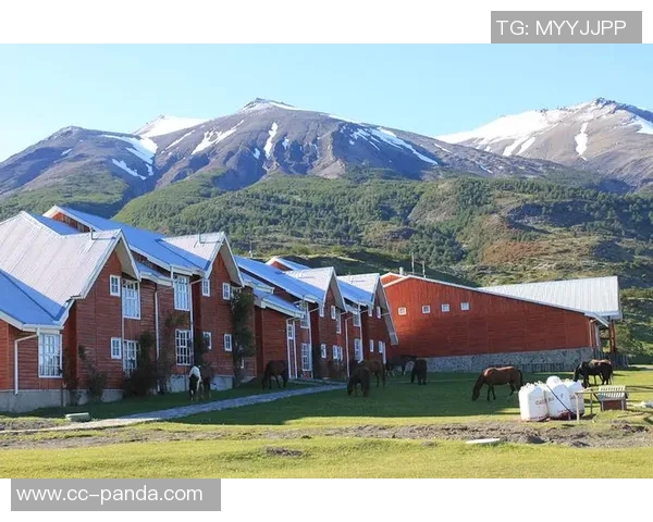 坎比亚索谈客战博德体能挑战与人造草皮适应问题