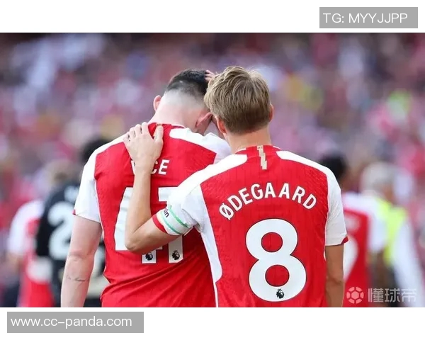 后温格时代引援花费超10亿镑厄德高力压赖斯荣登榜首