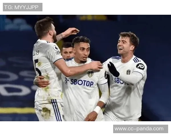 英超前瞻：桑德兰难敌利兹联水晶宫与热刺或将平局收场