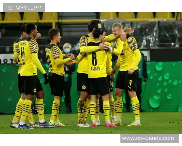 多特蒙德与沃尔夫斯堡争夺图卢兹后卫克雷斯维尔补强中卫阵容 多特蒙德与沃尔夫斯堡争夺图卢兹后卫克雷斯维尔补强中卫阵容