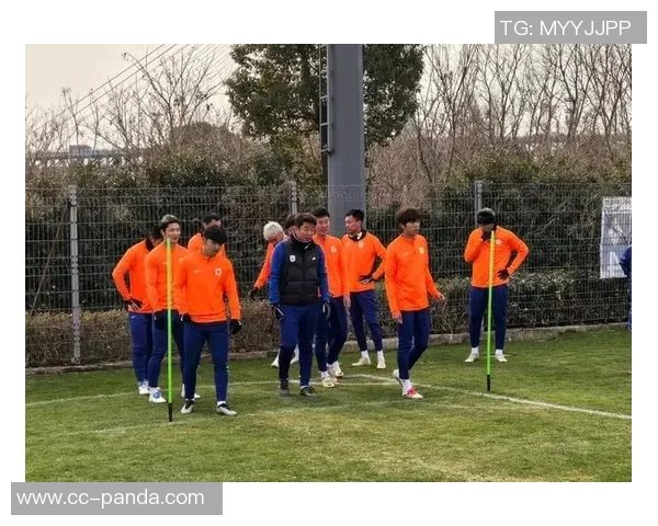 泰山队冬训阵容公布郑铮王大雷领衔依木兰积极参与训练